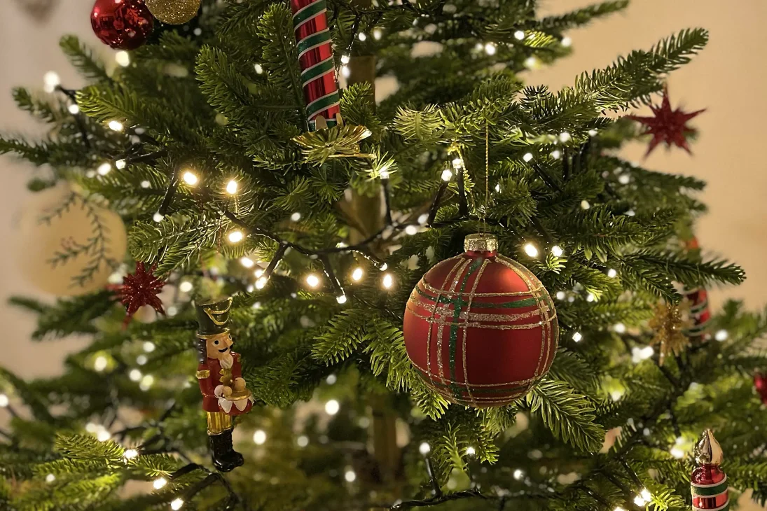 Mes conseils pour choisir son sapin de Noël