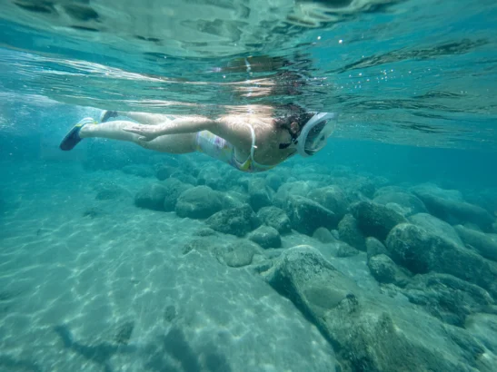 Snorkeler