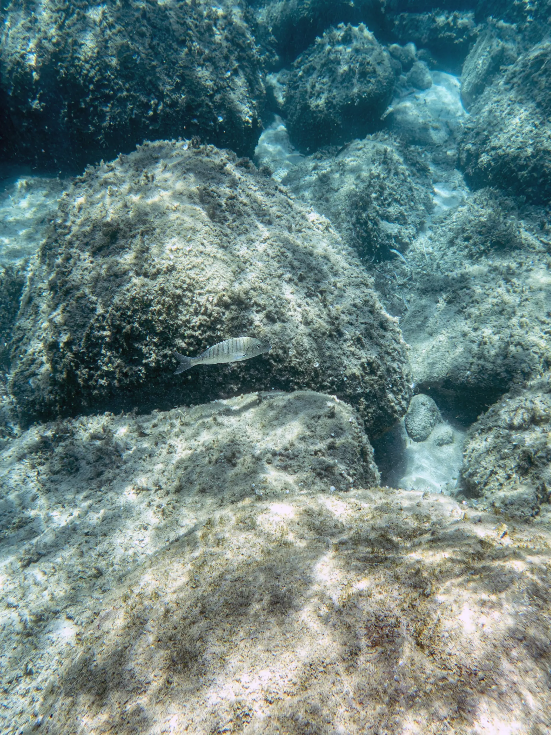 P7070023